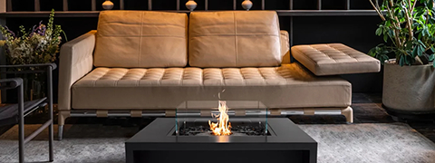 EcoSmart Fire